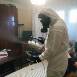 Дезинфекция от клопов в Черноголовке