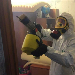 Уничтожение клопов в квартире. Черноголовка